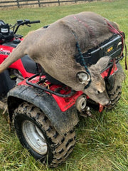 handy hunting fishing tool